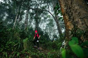 BIB: 
                            <button type="button" onclick="openModal(26209110)" class="btn btn-primary btn-sm float-right btn-popup" data-toggle="modal" data-target=".modal-high-quality">
                        <i class="fas fa-shopping-cart"></i> Add to Cart
                    </button>
                                            <button type="button" onclick="isThisMe(26209110, true)" class="btn btn-success btn-sm float-right btn-popup btn-isme hidden" data-toggle="tooltip" data-placement="bottom" title="นี่คือรูปของคุณใช่ไหม คลิกที่นี่เพื่อเอาเข้าอัลบั้ม">
                        <i class="fas fa-plus"></i> Add to album
                    </button>
                    <button type="button" onclick="isThisMe(26209110, false)" class="btn btn-warning btn-sm float-right btn-popup btn-isnotme hidden">
                        <i class="fas fa-ban"></i> Remove from album
                    </button>