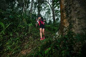 BIB: 
                            <button type="button" onclick="openModal(26208709)" class="btn btn-primary btn-sm float-right btn-popup" data-toggle="modal" data-target=".modal-high-quality">
                        <i class="fas fa-shopping-cart"></i> Add to Cart
                    </button>
                                            <button type="button" onclick="isThisMe(26208709, true)" class="btn btn-success btn-sm float-right btn-popup btn-isme hidden" data-toggle="tooltip" data-placement="bottom" title="นี่คือรูปของคุณใช่ไหม คลิกที่นี่เพื่อเอาเข้าอัลบั้ม">
                        <i class="fas fa-plus"></i> Add to album
                    </button>
                    <button type="button" onclick="isThisMe(26208709, false)" class="btn btn-warning btn-sm float-right btn-popup btn-isnotme hidden">
                        <i class="fas fa-ban"></i> Remove from album
                    </button>