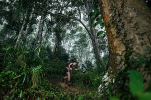 BIB: 
                            <button type="button" onclick="openModal(26209255)" class="btn btn-primary btn-sm float-right btn-popup" data-toggle="modal" data-target=".modal-high-quality">
                        <i class="fas fa-shopping-cart"></i> Add to Cart
                    </button>
                                            <button type="button" onclick="isThisMe(26209255, true)" class="btn btn-success btn-sm float-right btn-popup btn-isme hidden" data-toggle="tooltip" data-placement="bottom" title="นี่คือรูปของคุณใช่ไหม คลิกที่นี่เพื่อเอาเข้าอัลบั้ม">
                        <i class="fas fa-plus"></i> Add to album
                    </button>
                    <button type="button" onclick="isThisMe(26209255, false)" class="btn btn-warning btn-sm float-right btn-popup btn-isnotme hidden">
                        <i class="fas fa-ban"></i> Remove from album
                    </button>