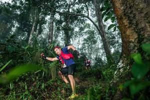 BIB: 
                            <button type="button" onclick="openModal(26209161)" class="btn btn-primary btn-sm float-right btn-popup" data-toggle="modal" data-target=".modal-high-quality">
                        <i class="fas fa-shopping-cart"></i> Add to Cart
                    </button>
                                            <button type="button" onclick="isThisMe(26209161, true)" class="btn btn-success btn-sm float-right btn-popup btn-isme hidden" data-toggle="tooltip" data-placement="bottom" title="นี่คือรูปของคุณใช่ไหม คลิกที่นี่เพื่อเอาเข้าอัลบั้ม">
                        <i class="fas fa-plus"></i> Add to album
                    </button>
                    <button type="button" onclick="isThisMe(26209161, false)" class="btn btn-warning btn-sm float-right btn-popup btn-isnotme hidden">
                        <i class="fas fa-ban"></i> Remove from album
                    </button>