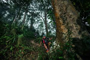 BIB: 
                            <button type="button" onclick="openModal(26209370)" class="btn btn-primary btn-sm float-right btn-popup" data-toggle="modal" data-target=".modal-high-quality">
                        <i class="fas fa-shopping-cart"></i> Add to Cart
                    </button>
                                            <button type="button" onclick="isThisMe(26209370, true)" class="btn btn-success btn-sm float-right btn-popup btn-isme hidden" data-toggle="tooltip" data-placement="bottom" title="นี่คือรูปของคุณใช่ไหม คลิกที่นี่เพื่อเอาเข้าอัลบั้ม">
                        <i class="fas fa-plus"></i> Add to album
                    </button>
                    <button type="button" onclick="isThisMe(26209370, false)" class="btn btn-warning btn-sm float-right btn-popup btn-isnotme hidden">
                        <i class="fas fa-ban"></i> Remove from album
                    </button>