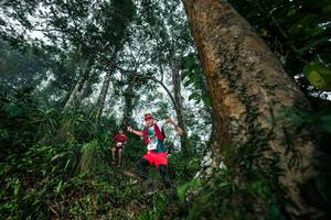 BIB: 
                            <button type="button" onclick="openModal(26208942)" class="btn btn-primary btn-sm float-right btn-popup" data-toggle="modal" data-target=".modal-high-quality">
                        <i class="fas fa-shopping-cart"></i> Add to Cart
                    </button>
                                            <button type="button" onclick="isThisMe(26208942, true)" class="btn btn-success btn-sm float-right btn-popup btn-isme hidden" data-toggle="tooltip" data-placement="bottom" title="นี่คือรูปของคุณใช่ไหม คลิกที่นี่เพื่อเอาเข้าอัลบั้ม">
                        <i class="fas fa-plus"></i> Add to album
                    </button>
                    <button type="button" onclick="isThisMe(26208942, false)" class="btn btn-warning btn-sm float-right btn-popup btn-isnotme hidden">
                        <i class="fas fa-ban"></i> Remove from album
                    </button>