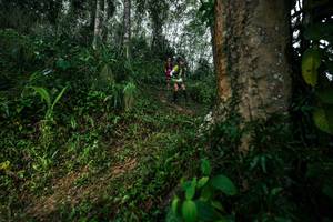 BIB: 
                            <button type="button" onclick="openModal(26208624)" class="btn btn-primary btn-sm float-right btn-popup" data-toggle="modal" data-target=".modal-high-quality">
                        <i class="fas fa-shopping-cart"></i> Add to Cart
                    </button>
                                            <button type="button" onclick="isThisMe(26208624, true)" class="btn btn-success btn-sm float-right btn-popup btn-isme hidden" data-toggle="tooltip" data-placement="bottom" title="นี่คือรูปของคุณใช่ไหม คลิกที่นี่เพื่อเอาเข้าอัลบั้ม">
                        <i class="fas fa-plus"></i> Add to album
                    </button>
                    <button type="button" onclick="isThisMe(26208624, false)" class="btn btn-warning btn-sm float-right btn-popup btn-isnotme hidden">
                        <i class="fas fa-ban"></i> Remove from album
                    </button>