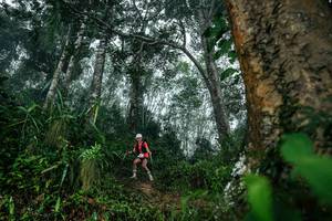 BIB: 
                            <button type="button" onclick="openModal(26209188)" class="btn btn-primary btn-sm float-right btn-popup" data-toggle="modal" data-target=".modal-high-quality">
                        <i class="fas fa-shopping-cart"></i> Add to Cart
                    </button>
                                            <button type="button" onclick="isThisMe(26209188, true)" class="btn btn-success btn-sm float-right btn-popup btn-isme hidden" data-toggle="tooltip" data-placement="bottom" title="นี่คือรูปของคุณใช่ไหม คลิกที่นี่เพื่อเอาเข้าอัลบั้ม">
                        <i class="fas fa-plus"></i> Add to album
                    </button>
                    <button type="button" onclick="isThisMe(26209188, false)" class="btn btn-warning btn-sm float-right btn-popup btn-isnotme hidden">
                        <i class="fas fa-ban"></i> Remove from album
                    </button>