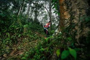 BIB: 
                            <button type="button" onclick="openModal(26208856)" class="btn btn-primary btn-sm float-right btn-popup" data-toggle="modal" data-target=".modal-high-quality">
                        <i class="fas fa-shopping-cart"></i> Add to Cart
                    </button>
                                            <button type="button" onclick="isThisMe(26208856, true)" class="btn btn-success btn-sm float-right btn-popup btn-isme hidden" data-toggle="tooltip" data-placement="bottom" title="นี่คือรูปของคุณใช่ไหม คลิกที่นี่เพื่อเอาเข้าอัลบั้ม">
                        <i class="fas fa-plus"></i> Add to album
                    </button>
                    <button type="button" onclick="isThisMe(26208856, false)" class="btn btn-warning btn-sm float-right btn-popup btn-isnotme hidden">
                        <i class="fas fa-ban"></i> Remove from album
                    </button>