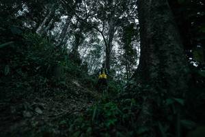 BIB: 
                            <button type="button" onclick="openModal(26209560)" class="btn btn-primary btn-sm float-right btn-popup" data-toggle="modal" data-target=".modal-high-quality">
                        <i class="fas fa-shopping-cart"></i> Add to Cart
                    </button>
                                            <button type="button" onclick="isThisMe(26209560, true)" class="btn btn-success btn-sm float-right btn-popup btn-isme hidden" data-toggle="tooltip" data-placement="bottom" title="นี่คือรูปของคุณใช่ไหม คลิกที่นี่เพื่อเอาเข้าอัลบั้ม">
                        <i class="fas fa-plus"></i> Add to album
                    </button>
                    <button type="button" onclick="isThisMe(26209560, false)" class="btn btn-warning btn-sm float-right btn-popup btn-isnotme hidden">
                        <i class="fas fa-ban"></i> Remove from album
                    </button>