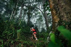 BIB: 
                            <button type="button" onclick="openModal(26209197)" class="btn btn-primary btn-sm float-right btn-popup" data-toggle="modal" data-target=".modal-high-quality">
                        <i class="fas fa-shopping-cart"></i> Add to Cart
                    </button>
                                            <button type="button" onclick="isThisMe(26209197, true)" class="btn btn-success btn-sm float-right btn-popup btn-isme hidden" data-toggle="tooltip" data-placement="bottom" title="นี่คือรูปของคุณใช่ไหม คลิกที่นี่เพื่อเอาเข้าอัลบั้ม">
                        <i class="fas fa-plus"></i> Add to album
                    </button>
                    <button type="button" onclick="isThisMe(26209197, false)" class="btn btn-warning btn-sm float-right btn-popup btn-isnotme hidden">
                        <i class="fas fa-ban"></i> Remove from album
                    </button>