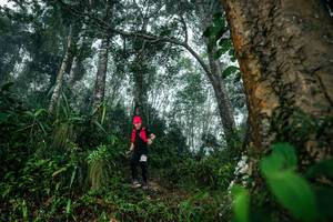 BIB: 
                            <button type="button" onclick="openModal(26209106)" class="btn btn-primary btn-sm float-right btn-popup" data-toggle="modal" data-target=".modal-high-quality">
                        <i class="fas fa-shopping-cart"></i> Add to Cart
                    </button>
                                            <button type="button" onclick="isThisMe(26209106, true)" class="btn btn-success btn-sm float-right btn-popup btn-isme hidden" data-toggle="tooltip" data-placement="bottom" title="นี่คือรูปของคุณใช่ไหม คลิกที่นี่เพื่อเอาเข้าอัลบั้ม">
                        <i class="fas fa-plus"></i> Add to album
                    </button>
                    <button type="button" onclick="isThisMe(26209106, false)" class="btn btn-warning btn-sm float-right btn-popup btn-isnotme hidden">
                        <i class="fas fa-ban"></i> Remove from album
                    </button>