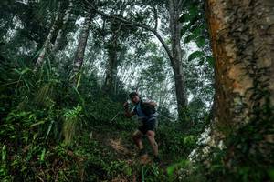 BIB: 
                            <button type="button" onclick="openModal(26209239)" class="btn btn-primary btn-sm float-right btn-popup" data-toggle="modal" data-target=".modal-high-quality">
                        <i class="fas fa-shopping-cart"></i> Add to Cart
                    </button>
                                            <button type="button" onclick="isThisMe(26209239, true)" class="btn btn-success btn-sm float-right btn-popup btn-isme hidden" data-toggle="tooltip" data-placement="bottom" title="นี่คือรูปของคุณใช่ไหม คลิกที่นี่เพื่อเอาเข้าอัลบั้ม">
                        <i class="fas fa-plus"></i> Add to album
                    </button>
                    <button type="button" onclick="isThisMe(26209239, false)" class="btn btn-warning btn-sm float-right btn-popup btn-isnotme hidden">
                        <i class="fas fa-ban"></i> Remove from album
                    </button>