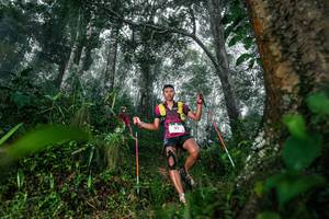 BIB: 
                            <button type="button" onclick="openModal(26209166)" class="btn btn-primary btn-sm float-right btn-popup" data-toggle="modal" data-target=".modal-high-quality">
                        <i class="fas fa-shopping-cart"></i> Add to Cart
                    </button>
                                            <button type="button" onclick="isThisMe(26209166, true)" class="btn btn-success btn-sm float-right btn-popup btn-isme hidden" data-toggle="tooltip" data-placement="bottom" title="นี่คือรูปของคุณใช่ไหม คลิกที่นี่เพื่อเอาเข้าอัลบั้ม">
                        <i class="fas fa-plus"></i> Add to album
                    </button>
                    <button type="button" onclick="isThisMe(26209166, false)" class="btn btn-warning btn-sm float-right btn-popup btn-isnotme hidden">
                        <i class="fas fa-ban"></i> Remove from album
                    </button>