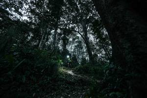 BIB: 
                            <button type="button" onclick="openModal(26209526)" class="btn btn-primary btn-sm float-right btn-popup" data-toggle="modal" data-target=".modal-high-quality">
                        <i class="fas fa-shopping-cart"></i> Add to Cart
                    </button>
                                            <button type="button" onclick="isThisMe(26209526, true)" class="btn btn-success btn-sm float-right btn-popup btn-isme hidden" data-toggle="tooltip" data-placement="bottom" title="นี่คือรูปของคุณใช่ไหม คลิกที่นี่เพื่อเอาเข้าอัลบั้ม">
                        <i class="fas fa-plus"></i> Add to album
                    </button>
                    <button type="button" onclick="isThisMe(26209526, false)" class="btn btn-warning btn-sm float-right btn-popup btn-isnotme hidden">
                        <i class="fas fa-ban"></i> Remove from album
                    </button>