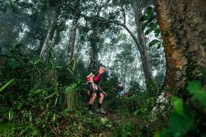 BIB: 
                            <button type="button" onclick="openModal(26209128)" class="btn btn-primary btn-sm float-right btn-popup" data-toggle="modal" data-target=".modal-high-quality">
                        <i class="fas fa-shopping-cart"></i> Add to Cart
                    </button>
                                            <button type="button" onclick="isThisMe(26209128, true)" class="btn btn-success btn-sm float-right btn-popup btn-isme hidden" data-toggle="tooltip" data-placement="bottom" title="นี่คือรูปของคุณใช่ไหม คลิกที่นี่เพื่อเอาเข้าอัลบั้ม">
                        <i class="fas fa-plus"></i> Add to album
                    </button>
                    <button type="button" onclick="isThisMe(26209128, false)" class="btn btn-warning btn-sm float-right btn-popup btn-isnotme hidden">
                        <i class="fas fa-ban"></i> Remove from album
                    </button>