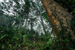 BIB: 
                            <button type="button" onclick="openModal(26208902)" class="btn btn-primary btn-sm float-right btn-popup" data-toggle="modal" data-target=".modal-high-quality">
                        <i class="fas fa-shopping-cart"></i> Add to Cart
                    </button>
                                            <button type="button" onclick="isThisMe(26208902, true)" class="btn btn-success btn-sm float-right btn-popup btn-isme hidden" data-toggle="tooltip" data-placement="bottom" title="นี่คือรูปของคุณใช่ไหม คลิกที่นี่เพื่อเอาเข้าอัลบั้ม">
                        <i class="fas fa-plus"></i> Add to album
                    </button>
                    <button type="button" onclick="isThisMe(26208902, false)" class="btn btn-warning btn-sm float-right btn-popup btn-isnotme hidden">
                        <i class="fas fa-ban"></i> Remove from album
                    </button>