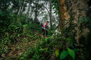 BIB: 
                            <button type="button" onclick="openModal(26208854)" class="btn btn-primary btn-sm float-right btn-popup" data-toggle="modal" data-target=".modal-high-quality">
                        <i class="fas fa-shopping-cart"></i> Add to Cart
                    </button>
                                            <button type="button" onclick="isThisMe(26208854, true)" class="btn btn-success btn-sm float-right btn-popup btn-isme hidden" data-toggle="tooltip" data-placement="bottom" title="นี่คือรูปของคุณใช่ไหม คลิกที่นี่เพื่อเอาเข้าอัลบั้ม">
                        <i class="fas fa-plus"></i> Add to album
                    </button>
                    <button type="button" onclick="isThisMe(26208854, false)" class="btn btn-warning btn-sm float-right btn-popup btn-isnotme hidden">
                        <i class="fas fa-ban"></i> Remove from album
                    </button>