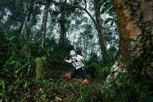 BIB: 
                            <button type="button" onclick="openModal(26209450)" class="btn btn-primary btn-sm float-right btn-popup" data-toggle="modal" data-target=".modal-high-quality">
                        <i class="fas fa-shopping-cart"></i> Add to Cart
                    </button>
                                            <button type="button" onclick="isThisMe(26209450, true)" class="btn btn-success btn-sm float-right btn-popup btn-isme hidden" data-toggle="tooltip" data-placement="bottom" title="นี่คือรูปของคุณใช่ไหม คลิกที่นี่เพื่อเอาเข้าอัลบั้ม">
                        <i class="fas fa-plus"></i> Add to album
                    </button>
                    <button type="button" onclick="isThisMe(26209450, false)" class="btn btn-warning btn-sm float-right btn-popup btn-isnotme hidden">
                        <i class="fas fa-ban"></i> Remove from album
                    </button>