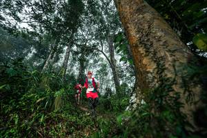 BIB: 
                            <button type="button" onclick="openModal(26208937)" class="btn btn-primary btn-sm float-right btn-popup" data-toggle="modal" data-target=".modal-high-quality">
                        <i class="fas fa-shopping-cart"></i> Add to Cart
                    </button>
                                            <button type="button" onclick="isThisMe(26208937, true)" class="btn btn-success btn-sm float-right btn-popup btn-isme hidden" data-toggle="tooltip" data-placement="bottom" title="นี่คือรูปของคุณใช่ไหม คลิกที่นี่เพื่อเอาเข้าอัลบั้ม">
                        <i class="fas fa-plus"></i> Add to album
                    </button>
                    <button type="button" onclick="isThisMe(26208937, false)" class="btn btn-warning btn-sm float-right btn-popup btn-isnotme hidden">
                        <i class="fas fa-ban"></i> Remove from album
                    </button>