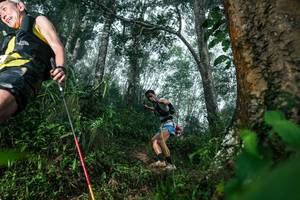 BIB: 
                            <button type="button" onclick="openModal(26209146)" class="btn btn-primary btn-sm float-right btn-popup" data-toggle="modal" data-target=".modal-high-quality">
                        <i class="fas fa-shopping-cart"></i> Add to Cart
                    </button>
                                            <button type="button" onclick="isThisMe(26209146, true)" class="btn btn-success btn-sm float-right btn-popup btn-isme hidden" data-toggle="tooltip" data-placement="bottom" title="นี่คือรูปของคุณใช่ไหม คลิกที่นี่เพื่อเอาเข้าอัลบั้ม">
                        <i class="fas fa-plus"></i> Add to album
                    </button>
                    <button type="button" onclick="isThisMe(26209146, false)" class="btn btn-warning btn-sm float-right btn-popup btn-isnotme hidden">
                        <i class="fas fa-ban"></i> Remove from album
                    </button>