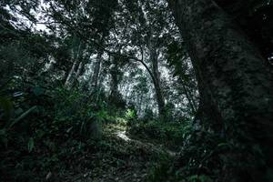 BIB: 
                            <button type="button" onclick="openModal(26209519)" class="btn btn-primary btn-sm float-right btn-popup" data-toggle="modal" data-target=".modal-high-quality">
                        <i class="fas fa-shopping-cart"></i> Add to Cart
                    </button>
                                            <button type="button" onclick="isThisMe(26209519, true)" class="btn btn-success btn-sm float-right btn-popup btn-isme hidden" data-toggle="tooltip" data-placement="bottom" title="นี่คือรูปของคุณใช่ไหม คลิกที่นี่เพื่อเอาเข้าอัลบั้ม">
                        <i class="fas fa-plus"></i> Add to album
                    </button>
                    <button type="button" onclick="isThisMe(26209519, false)" class="btn btn-warning btn-sm float-right btn-popup btn-isnotme hidden">
                        <i class="fas fa-ban"></i> Remove from album
                    </button>