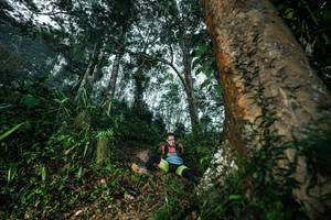 BIB: 
                            <button type="button" onclick="openModal(26209481)" class="btn btn-primary btn-sm float-right btn-popup" data-toggle="modal" data-target=".modal-high-quality">
                        <i class="fas fa-shopping-cart"></i> Add to Cart
                    </button>
                                            <button type="button" onclick="isThisMe(26209481, true)" class="btn btn-success btn-sm float-right btn-popup btn-isme hidden" data-toggle="tooltip" data-placement="bottom" title="นี่คือรูปของคุณใช่ไหม คลิกที่นี่เพื่อเอาเข้าอัลบั้ม">
                        <i class="fas fa-plus"></i> Add to album
                    </button>
                    <button type="button" onclick="isThisMe(26209481, false)" class="btn btn-warning btn-sm float-right btn-popup btn-isnotme hidden">
                        <i class="fas fa-ban"></i> Remove from album
                    </button>