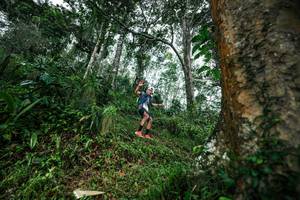 BIB: 
                            <button type="button" onclick="openModal(26208496)" class="btn btn-primary btn-sm float-right btn-popup" data-toggle="modal" data-target=".modal-high-quality">
                        <i class="fas fa-shopping-cart"></i> Add to Cart
                    </button>
                                            <button type="button" onclick="isThisMe(26208496, true)" class="btn btn-success btn-sm float-right btn-popup btn-isme hidden" data-toggle="tooltip" data-placement="bottom" title="นี่คือรูปของคุณใช่ไหม คลิกที่นี่เพื่อเอาเข้าอัลบั้ม">
                        <i class="fas fa-plus"></i> Add to album
                    </button>
                    <button type="button" onclick="isThisMe(26208496, false)" class="btn btn-warning btn-sm float-right btn-popup btn-isnotme hidden">
                        <i class="fas fa-ban"></i> Remove from album
                    </button>