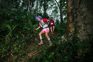 BIB: 
                            <button type="button" onclick="openModal(26208761)" class="btn btn-primary btn-sm float-right btn-popup" data-toggle="modal" data-target=".modal-high-quality">
                        <i class="fas fa-shopping-cart"></i> Add to Cart
                    </button>
                                            <button type="button" onclick="isThisMe(26208761, true)" class="btn btn-success btn-sm float-right btn-popup btn-isme hidden" data-toggle="tooltip" data-placement="bottom" title="นี่คือรูปของคุณใช่ไหม คลิกที่นี่เพื่อเอาเข้าอัลบั้ม">
                        <i class="fas fa-plus"></i> Add to album
                    </button>
                    <button type="button" onclick="isThisMe(26208761, false)" class="btn btn-warning btn-sm float-right btn-popup btn-isnotme hidden">
                        <i class="fas fa-ban"></i> Remove from album
                    </button>