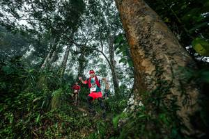 BIB: 
                            <button type="button" onclick="openModal(26208940)" class="btn btn-primary btn-sm float-right btn-popup" data-toggle="modal" data-target=".modal-high-quality">
                        <i class="fas fa-shopping-cart"></i> Add to Cart
                    </button>
                                            <button type="button" onclick="isThisMe(26208940, true)" class="btn btn-success btn-sm float-right btn-popup btn-isme hidden" data-toggle="tooltip" data-placement="bottom" title="นี่คือรูปของคุณใช่ไหม คลิกที่นี่เพื่อเอาเข้าอัลบั้ม">
                        <i class="fas fa-plus"></i> Add to album
                    </button>
                    <button type="button" onclick="isThisMe(26208940, false)" class="btn btn-warning btn-sm float-right btn-popup btn-isnotme hidden">
                        <i class="fas fa-ban"></i> Remove from album
                    </button>