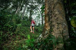 BIB: 
                            <button type="button" onclick="openModal(26208421)" class="btn btn-primary btn-sm float-right btn-popup" data-toggle="modal" data-target=".modal-high-quality">
                        <i class="fas fa-shopping-cart"></i> Add to Cart
                    </button>
                                            <button type="button" onclick="isThisMe(26208421, true)" class="btn btn-success btn-sm float-right btn-popup btn-isme hidden" data-toggle="tooltip" data-placement="bottom" title="นี่คือรูปของคุณใช่ไหม คลิกที่นี่เพื่อเอาเข้าอัลบั้ม">
                        <i class="fas fa-plus"></i> Add to album
                    </button>
                    <button type="button" onclick="isThisMe(26208421, false)" class="btn btn-warning btn-sm float-right btn-popup btn-isnotme hidden">
                        <i class="fas fa-ban"></i> Remove from album
                    </button>