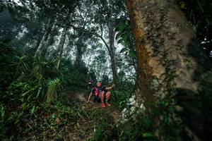 BIB: 
                            <button type="button" onclick="openModal(26209365)" class="btn btn-primary btn-sm float-right btn-popup" data-toggle="modal" data-target=".modal-high-quality">
                        <i class="fas fa-shopping-cart"></i> Add to Cart
                    </button>
                                            <button type="button" onclick="isThisMe(26209365, true)" class="btn btn-success btn-sm float-right btn-popup btn-isme hidden" data-toggle="tooltip" data-placement="bottom" title="นี่คือรูปของคุณใช่ไหม คลิกที่นี่เพื่อเอาเข้าอัลบั้ม">
                        <i class="fas fa-plus"></i> Add to album
                    </button>
                    <button type="button" onclick="isThisMe(26209365, false)" class="btn btn-warning btn-sm float-right btn-popup btn-isnotme hidden">
                        <i class="fas fa-ban"></i> Remove from album
                    </button>