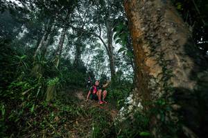 BIB: 
                            <button type="button" onclick="openModal(26209361)" class="btn btn-primary btn-sm float-right btn-popup" data-toggle="modal" data-target=".modal-high-quality">
                        <i class="fas fa-shopping-cart"></i> Add to Cart
                    </button>
                                            <button type="button" onclick="isThisMe(26209361, true)" class="btn btn-success btn-sm float-right btn-popup btn-isme hidden" data-toggle="tooltip" data-placement="bottom" title="นี่คือรูปของคุณใช่ไหม คลิกที่นี่เพื่อเอาเข้าอัลบั้ม">
                        <i class="fas fa-plus"></i> Add to album
                    </button>
                    <button type="button" onclick="isThisMe(26209361, false)" class="btn btn-warning btn-sm float-right btn-popup btn-isnotme hidden">
                        <i class="fas fa-ban"></i> Remove from album
                    </button>