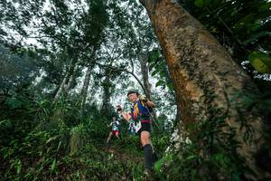 BIB: 
                            <button type="button" onclick="openModal(26208917)" class="btn btn-primary btn-sm float-right btn-popup" data-toggle="modal" data-target=".modal-high-quality">
                        <i class="fas fa-shopping-cart"></i> Add to Cart
                    </button>
                                            <button type="button" onclick="isThisMe(26208917, true)" class="btn btn-success btn-sm float-right btn-popup btn-isme hidden" data-toggle="tooltip" data-placement="bottom" title="นี่คือรูปของคุณใช่ไหม คลิกที่นี่เพื่อเอาเข้าอัลบั้ม">
                        <i class="fas fa-plus"></i> Add to album
                    </button>
                    <button type="button" onclick="isThisMe(26208917, false)" class="btn btn-warning btn-sm float-right btn-popup btn-isnotme hidden">
                        <i class="fas fa-ban"></i> Remove from album
                    </button>