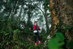 BIB: 
                            <button type="button" onclick="openModal(26208986)" class="btn btn-primary btn-sm float-right btn-popup" data-toggle="modal" data-target=".modal-high-quality">
                        <i class="fas fa-shopping-cart"></i> Add to Cart
                    </button>
                                            <button type="button" onclick="isThisMe(26208986, true)" class="btn btn-success btn-sm float-right btn-popup btn-isme hidden" data-toggle="tooltip" data-placement="bottom" title="นี่คือรูปของคุณใช่ไหม คลิกที่นี่เพื่อเอาเข้าอัลบั้ม">
                        <i class="fas fa-plus"></i> Add to album
                    </button>
                    <button type="button" onclick="isThisMe(26208986, false)" class="btn btn-warning btn-sm float-right btn-popup btn-isnotme hidden">
                        <i class="fas fa-ban"></i> Remove from album
                    </button>