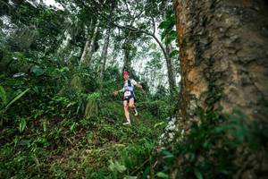 BIB: 
                            <button type="button" onclick="openModal(26208430)" class="btn btn-primary btn-sm float-right btn-popup" data-toggle="modal" data-target=".modal-high-quality">
                        <i class="fas fa-shopping-cart"></i> Add to Cart
                    </button>
                                            <button type="button" onclick="isThisMe(26208430, true)" class="btn btn-success btn-sm float-right btn-popup btn-isme hidden" data-toggle="tooltip" data-placement="bottom" title="นี่คือรูปของคุณใช่ไหม คลิกที่นี่เพื่อเอาเข้าอัลบั้ม">
                        <i class="fas fa-plus"></i> Add to album
                    </button>
                    <button type="button" onclick="isThisMe(26208430, false)" class="btn btn-warning btn-sm float-right btn-popup btn-isnotme hidden">
                        <i class="fas fa-ban"></i> Remove from album
                    </button>