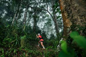 BIB: 
                            <button type="button" onclick="openModal(26209196)" class="btn btn-primary btn-sm float-right btn-popup" data-toggle="modal" data-target=".modal-high-quality">
                        <i class="fas fa-shopping-cart"></i> Add to Cart
                    </button>
                                            <button type="button" onclick="isThisMe(26209196, true)" class="btn btn-success btn-sm float-right btn-popup btn-isme hidden" data-toggle="tooltip" data-placement="bottom" title="นี่คือรูปของคุณใช่ไหม คลิกที่นี่เพื่อเอาเข้าอัลบั้ม">
                        <i class="fas fa-plus"></i> Add to album
                    </button>
                    <button type="button" onclick="isThisMe(26209196, false)" class="btn btn-warning btn-sm float-right btn-popup btn-isnotme hidden">
                        <i class="fas fa-ban"></i> Remove from album
                    </button>