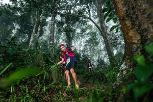 BIB: 
                            <button type="button" onclick="openModal(26209156)" class="btn btn-primary btn-sm float-right btn-popup" data-toggle="modal" data-target=".modal-high-quality">
                        <i class="fas fa-shopping-cart"></i> Add to Cart
                    </button>
                                            <button type="button" onclick="isThisMe(26209156, true)" class="btn btn-success btn-sm float-right btn-popup btn-isme hidden" data-toggle="tooltip" data-placement="bottom" title="นี่คือรูปของคุณใช่ไหม คลิกที่นี่เพื่อเอาเข้าอัลบั้ม">
                        <i class="fas fa-plus"></i> Add to album
                    </button>
                    <button type="button" onclick="isThisMe(26209156, false)" class="btn btn-warning btn-sm float-right btn-popup btn-isnotme hidden">
                        <i class="fas fa-ban"></i> Remove from album
                    </button>