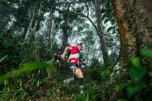 BIB: 
                            <button type="button" onclick="openModal(26209169)" class="btn btn-primary btn-sm float-right btn-popup" data-toggle="modal" data-target=".modal-high-quality">
                        <i class="fas fa-shopping-cart"></i> Add to Cart
                    </button>
                                            <button type="button" onclick="isThisMe(26209169, true)" class="btn btn-success btn-sm float-right btn-popup btn-isme hidden" data-toggle="tooltip" data-placement="bottom" title="นี่คือรูปของคุณใช่ไหม คลิกที่นี่เพื่อเอาเข้าอัลบั้ม">
                        <i class="fas fa-plus"></i> Add to album
                    </button>
                    <button type="button" onclick="isThisMe(26209169, false)" class="btn btn-warning btn-sm float-right btn-popup btn-isnotme hidden">
                        <i class="fas fa-ban"></i> Remove from album
                    </button>