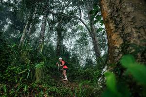 BIB: 
                            <button type="button" onclick="openModal(26209191)" class="btn btn-primary btn-sm float-right btn-popup" data-toggle="modal" data-target=".modal-high-quality">
                        <i class="fas fa-shopping-cart"></i> Add to Cart
                    </button>
                                            <button type="button" onclick="isThisMe(26209191, true)" class="btn btn-success btn-sm float-right btn-popup btn-isme hidden" data-toggle="tooltip" data-placement="bottom" title="นี่คือรูปของคุณใช่ไหม คลิกที่นี่เพื่อเอาเข้าอัลบั้ม">
                        <i class="fas fa-plus"></i> Add to album
                    </button>
                    <button type="button" onclick="isThisMe(26209191, false)" class="btn btn-warning btn-sm float-right btn-popup btn-isnotme hidden">
                        <i class="fas fa-ban"></i> Remove from album
                    </button>