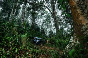 BIB: 
                            <button type="button" onclick="openModal(26209301)" class="btn btn-primary btn-sm float-right btn-popup" data-toggle="modal" data-target=".modal-high-quality">
                        <i class="fas fa-shopping-cart"></i> Add to Cart
                    </button>
                                            <button type="button" onclick="isThisMe(26209301, true)" class="btn btn-success btn-sm float-right btn-popup btn-isme hidden" data-toggle="tooltip" data-placement="bottom" title="นี่คือรูปของคุณใช่ไหม คลิกที่นี่เพื่อเอาเข้าอัลบั้ม">
                        <i class="fas fa-plus"></i> Add to album
                    </button>
                    <button type="button" onclick="isThisMe(26209301, false)" class="btn btn-warning btn-sm float-right btn-popup btn-isnotme hidden">
                        <i class="fas fa-ban"></i> Remove from album
                    </button>