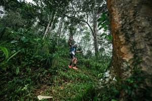 BIB: 
                            <button type="button" onclick="openModal(26208495)" class="btn btn-primary btn-sm float-right btn-popup" data-toggle="modal" data-target=".modal-high-quality">
                        <i class="fas fa-shopping-cart"></i> Add to Cart
                    </button>
                                            <button type="button" onclick="isThisMe(26208495, true)" class="btn btn-success btn-sm float-right btn-popup btn-isme hidden" data-toggle="tooltip" data-placement="bottom" title="นี่คือรูปของคุณใช่ไหม คลิกที่นี่เพื่อเอาเข้าอัลบั้ม">
                        <i class="fas fa-plus"></i> Add to album
                    </button>
                    <button type="button" onclick="isThisMe(26208495, false)" class="btn btn-warning btn-sm float-right btn-popup btn-isnotme hidden">
                        <i class="fas fa-ban"></i> Remove from album
                    </button>