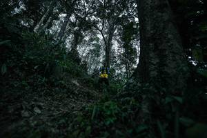 BIB: 
                            <button type="button" onclick="openModal(26209564)" class="btn btn-primary btn-sm float-right btn-popup" data-toggle="modal" data-target=".modal-high-quality">
                        <i class="fas fa-shopping-cart"></i> Add to Cart
                    </button>
                                            <button type="button" onclick="isThisMe(26209564, true)" class="btn btn-success btn-sm float-right btn-popup btn-isme hidden" data-toggle="tooltip" data-placement="bottom" title="นี่คือรูปของคุณใช่ไหม คลิกที่นี่เพื่อเอาเข้าอัลบั้ม">
                        <i class="fas fa-plus"></i> Add to album
                    </button>
                    <button type="button" onclick="isThisMe(26209564, false)" class="btn btn-warning btn-sm float-right btn-popup btn-isnotme hidden">
                        <i class="fas fa-ban"></i> Remove from album
                    </button>