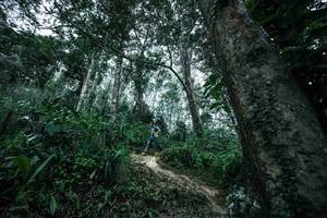 BIB: 
                            <button type="button" onclick="openModal(26209508)" class="btn btn-primary btn-sm float-right btn-popup" data-toggle="modal" data-target=".modal-high-quality">
                        <i class="fas fa-shopping-cart"></i> Add to Cart
                    </button>
                                            <button type="button" onclick="isThisMe(26209508, true)" class="btn btn-success btn-sm float-right btn-popup btn-isme hidden" data-toggle="tooltip" data-placement="bottom" title="นี่คือรูปของคุณใช่ไหม คลิกที่นี่เพื่อเอาเข้าอัลบั้ม">
                        <i class="fas fa-plus"></i> Add to album
                    </button>
                    <button type="button" onclick="isThisMe(26209508, false)" class="btn btn-warning btn-sm float-right btn-popup btn-isnotme hidden">
                        <i class="fas fa-ban"></i> Remove from album
                    </button>