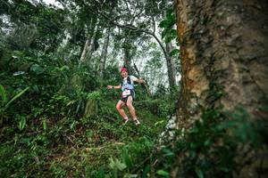 BIB: 
                            <button type="button" onclick="openModal(26208433)" class="btn btn-primary btn-sm float-right btn-popup" data-toggle="modal" data-target=".modal-high-quality">
                        <i class="fas fa-shopping-cart"></i> Add to Cart
                    </button>
                                            <button type="button" onclick="isThisMe(26208433, true)" class="btn btn-success btn-sm float-right btn-popup btn-isme hidden" data-toggle="tooltip" data-placement="bottom" title="นี่คือรูปของคุณใช่ไหม คลิกที่นี่เพื่อเอาเข้าอัลบั้ม">
                        <i class="fas fa-plus"></i> Add to album
                    </button>
                    <button type="button" onclick="isThisMe(26208433, false)" class="btn btn-warning btn-sm float-right btn-popup btn-isnotme hidden">
                        <i class="fas fa-ban"></i> Remove from album
                    </button>