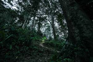 BIB: 
                            <button type="button" onclick="openModal(26209518)" class="btn btn-primary btn-sm float-right btn-popup" data-toggle="modal" data-target=".modal-high-quality">
                        <i class="fas fa-shopping-cart"></i> Add to Cart
                    </button>
                                            <button type="button" onclick="isThisMe(26209518, true)" class="btn btn-success btn-sm float-right btn-popup btn-isme hidden" data-toggle="tooltip" data-placement="bottom" title="นี่คือรูปของคุณใช่ไหม คลิกที่นี่เพื่อเอาเข้าอัลบั้ม">
                        <i class="fas fa-plus"></i> Add to album
                    </button>
                    <button type="button" onclick="isThisMe(26209518, false)" class="btn btn-warning btn-sm float-right btn-popup btn-isnotme hidden">
                        <i class="fas fa-ban"></i> Remove from album
                    </button>