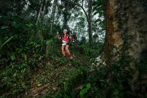 BIB: 
                            <button type="button" onclick="openModal(26208805)" class="btn btn-primary btn-sm float-right btn-popup" data-toggle="modal" data-target=".modal-high-quality">
                        <i class="fas fa-shopping-cart"></i> Add to Cart
                    </button>
                                            <button type="button" onclick="isThisMe(26208805, true)" class="btn btn-success btn-sm float-right btn-popup btn-isme hidden" data-toggle="tooltip" data-placement="bottom" title="นี่คือรูปของคุณใช่ไหม คลิกที่นี่เพื่อเอาเข้าอัลบั้ม">
                        <i class="fas fa-plus"></i> Add to album
                    </button>
                    <button type="button" onclick="isThisMe(26208805, false)" class="btn btn-warning btn-sm float-right btn-popup btn-isnotme hidden">
                        <i class="fas fa-ban"></i> Remove from album
                    </button>