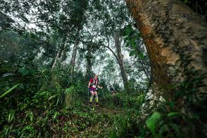 BIB: 
                            <button type="button" onclick="openModal(26208859)" class="btn btn-primary btn-sm float-right btn-popup" data-toggle="modal" data-target=".modal-high-quality">
                        <i class="fas fa-shopping-cart"></i> Add to Cart
                    </button>
                                            <button type="button" onclick="isThisMe(26208859, true)" class="btn btn-success btn-sm float-right btn-popup btn-isme hidden" data-toggle="tooltip" data-placement="bottom" title="นี่คือรูปของคุณใช่ไหม คลิกที่นี่เพื่อเอาเข้าอัลบั้ม">
                        <i class="fas fa-plus"></i> Add to album
                    </button>
                    <button type="button" onclick="isThisMe(26208859, false)" class="btn btn-warning btn-sm float-right btn-popup btn-isnotme hidden">
                        <i class="fas fa-ban"></i> Remove from album
                    </button>