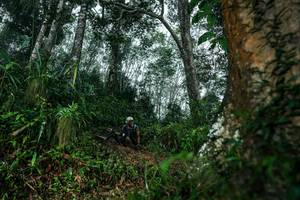 BIB: 
                            <button type="button" onclick="openModal(26209280)" class="btn btn-primary btn-sm float-right btn-popup" data-toggle="modal" data-target=".modal-high-quality">
                        <i class="fas fa-shopping-cart"></i> Add to Cart
                    </button>
                                            <button type="button" onclick="isThisMe(26209280, true)" class="btn btn-success btn-sm float-right btn-popup btn-isme hidden" data-toggle="tooltip" data-placement="bottom" title="นี่คือรูปของคุณใช่ไหม คลิกที่นี่เพื่อเอาเข้าอัลบั้ม">
                        <i class="fas fa-plus"></i> Add to album
                    </button>
                    <button type="button" onclick="isThisMe(26209280, false)" class="btn btn-warning btn-sm float-right btn-popup btn-isnotme hidden">
                        <i class="fas fa-ban"></i> Remove from album
                    </button>