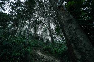 BIB: 
                            <button type="button" onclick="openModal(26209495)" class="btn btn-primary btn-sm float-right btn-popup" data-toggle="modal" data-target=".modal-high-quality">
                        <i class="fas fa-shopping-cart"></i> Add to Cart
                    </button>
                                            <button type="button" onclick="isThisMe(26209495, true)" class="btn btn-success btn-sm float-right btn-popup btn-isme hidden" data-toggle="tooltip" data-placement="bottom" title="นี่คือรูปของคุณใช่ไหม คลิกที่นี่เพื่อเอาเข้าอัลบั้ม">
                        <i class="fas fa-plus"></i> Add to album
                    </button>
                    <button type="button" onclick="isThisMe(26209495, false)" class="btn btn-warning btn-sm float-right btn-popup btn-isnotme hidden">
                        <i class="fas fa-ban"></i> Remove from album
                    </button>