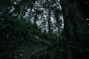 BIB: 
                            <button type="button" onclick="openModal(26209555)" class="btn btn-primary btn-sm float-right btn-popup" data-toggle="modal" data-target=".modal-high-quality">
                        <i class="fas fa-shopping-cart"></i> Add to Cart
                    </button>
                                            <button type="button" onclick="isThisMe(26209555, true)" class="btn btn-success btn-sm float-right btn-popup btn-isme hidden" data-toggle="tooltip" data-placement="bottom" title="นี่คือรูปของคุณใช่ไหม คลิกที่นี่เพื่อเอาเข้าอัลบั้ม">
                        <i class="fas fa-plus"></i> Add to album
                    </button>
                    <button type="button" onclick="isThisMe(26209555, false)" class="btn btn-warning btn-sm float-right btn-popup btn-isnotme hidden">
                        <i class="fas fa-ban"></i> Remove from album
                    </button>