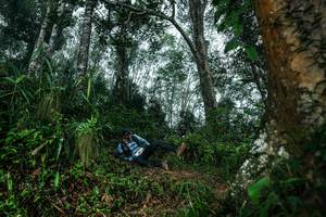 BIB: 
                            <button type="button" onclick="openModal(26209303)" class="btn btn-primary btn-sm float-right btn-popup" data-toggle="modal" data-target=".modal-high-quality">
                        <i class="fas fa-shopping-cart"></i> Add to Cart
                    </button>
                                            <button type="button" onclick="isThisMe(26209303, true)" class="btn btn-success btn-sm float-right btn-popup btn-isme hidden" data-toggle="tooltip" data-placement="bottom" title="นี่คือรูปของคุณใช่ไหม คลิกที่นี่เพื่อเอาเข้าอัลบั้ม">
                        <i class="fas fa-plus"></i> Add to album
                    </button>
                    <button type="button" onclick="isThisMe(26209303, false)" class="btn btn-warning btn-sm float-right btn-popup btn-isnotme hidden">
                        <i class="fas fa-ban"></i> Remove from album
                    </button>