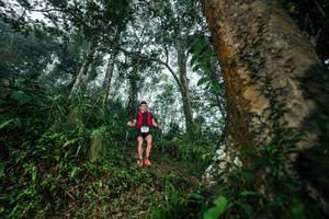 BIB: 
                            <button type="button" onclick="openModal(26208895)" class="btn btn-primary btn-sm float-right btn-popup" data-toggle="modal" data-target=".modal-high-quality">
                        <i class="fas fa-shopping-cart"></i> Add to Cart
                    </button>
                                            <button type="button" onclick="isThisMe(26208895, true)" class="btn btn-success btn-sm float-right btn-popup btn-isme hidden" data-toggle="tooltip" data-placement="bottom" title="นี่คือรูปของคุณใช่ไหม คลิกที่นี่เพื่อเอาเข้าอัลบั้ม">
                        <i class="fas fa-plus"></i> Add to album
                    </button>
                    <button type="button" onclick="isThisMe(26208895, false)" class="btn btn-warning btn-sm float-right btn-popup btn-isnotme hidden">
                        <i class="fas fa-ban"></i> Remove from album
                    </button>