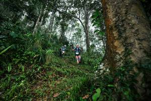 BIB: 
                            <button type="button" onclick="openModal(26208510)" class="btn btn-primary btn-sm float-right btn-popup" data-toggle="modal" data-target=".modal-high-quality">
                        <i class="fas fa-shopping-cart"></i> Add to Cart
                    </button>
                                            <button type="button" onclick="isThisMe(26208510, true)" class="btn btn-success btn-sm float-right btn-popup btn-isme hidden" data-toggle="tooltip" data-placement="bottom" title="นี่คือรูปของคุณใช่ไหม คลิกที่นี่เพื่อเอาเข้าอัลบั้ม">
                        <i class="fas fa-plus"></i> Add to album
                    </button>
                    <button type="button" onclick="isThisMe(26208510, false)" class="btn btn-warning btn-sm float-right btn-popup btn-isnotme hidden">
                        <i class="fas fa-ban"></i> Remove from album
                    </button>